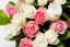 Mix ruží