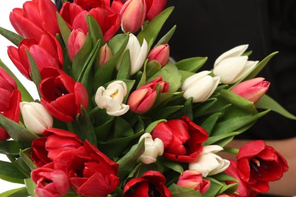 Tulipány mix farieb