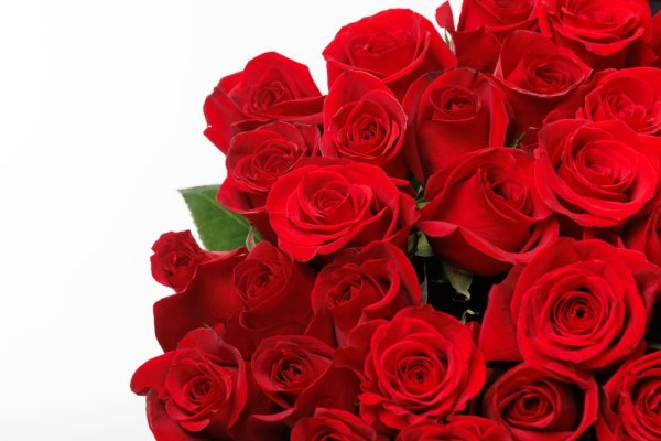 VIP Červené ruže VIP Červené ruže