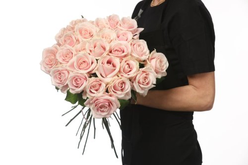 Jemne ružové ruže