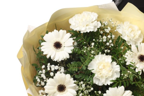 Kytica biely karafiát