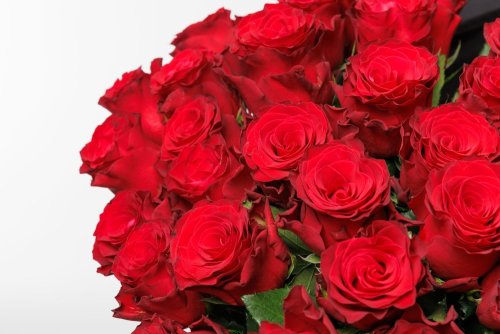 Červené ruže menšie