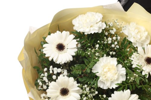 Kytica biely karafiát