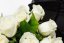 Biele ruže menšie